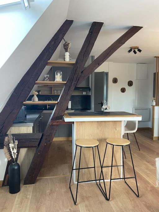 Duplex Bord De L'Eure - Parking Inclus - Jolie Vue Sur La Cathedrale Διαμέρισμα Σαρτρ Εξωτερικό φωτογραφία