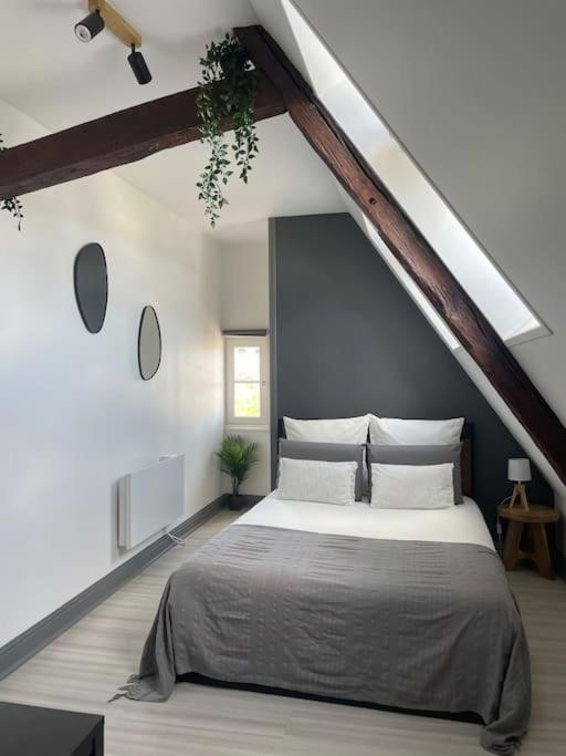 Duplex Bord De L'Eure - Parking Inclus - Jolie Vue Sur La Cathedrale Διαμέρισμα Σαρτρ Εξωτερικό φωτογραφία