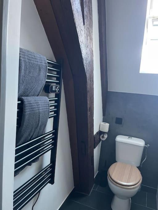 Duplex Bord De L'Eure - Parking Inclus - Jolie Vue Sur La Cathedrale Διαμέρισμα Σαρτρ Εξωτερικό φωτογραφία