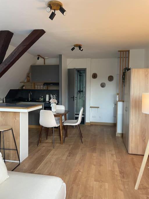 Duplex Bord De L'Eure - Parking Inclus - Jolie Vue Sur La Cathedrale Διαμέρισμα Σαρτρ Εξωτερικό φωτογραφία