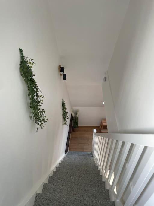 Duplex Bord De L'Eure - Parking Inclus - Jolie Vue Sur La Cathedrale Διαμέρισμα Σαρτρ Εξωτερικό φωτογραφία