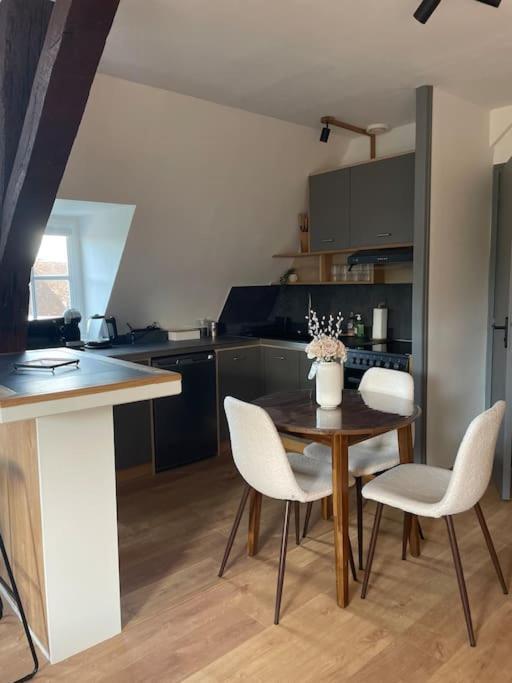Duplex Bord De L'Eure - Parking Inclus - Jolie Vue Sur La Cathedrale Διαμέρισμα Σαρτρ Εξωτερικό φωτογραφία