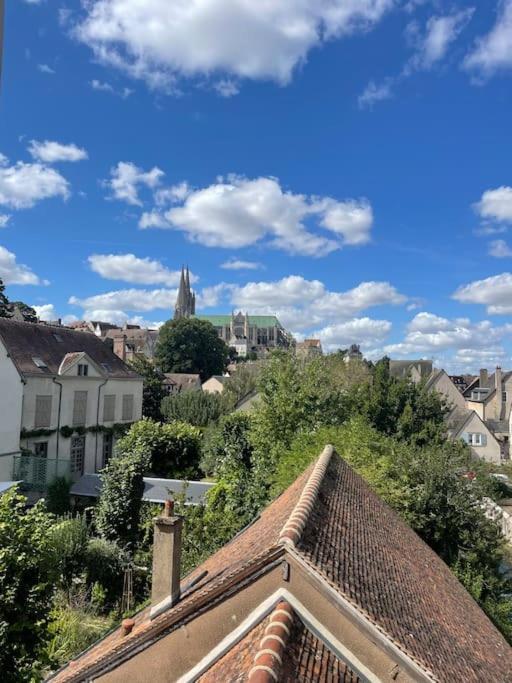 Duplex Bord De L'Eure - Parking Inclus - Jolie Vue Sur La Cathedrale Διαμέρισμα Σαρτρ Εξωτερικό φωτογραφία